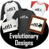 Evolutionary Designs